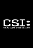 CSI: 라스베가스 시즌 12
